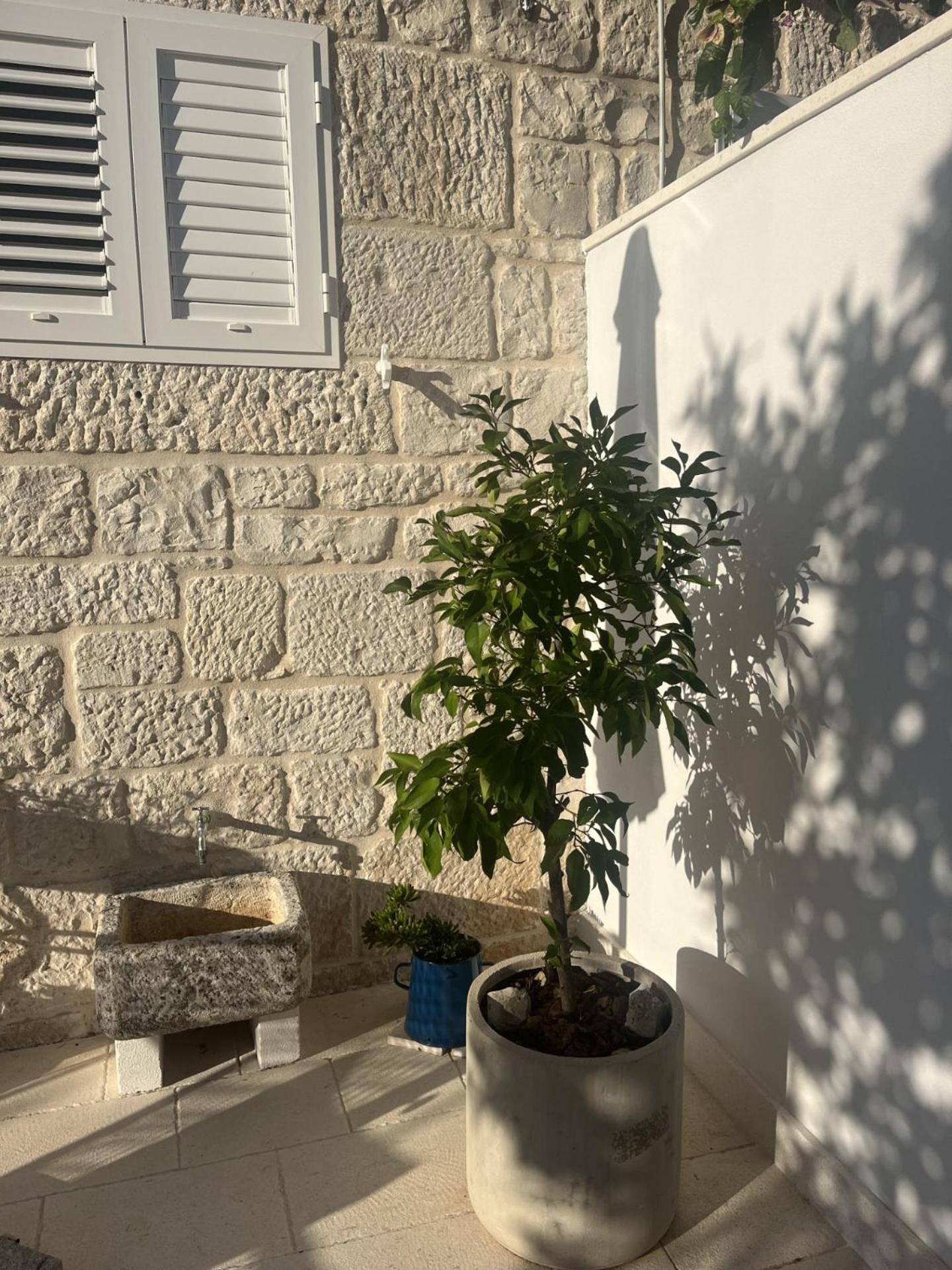 קורצולה Apartment On The Sunny Side מראה חיצוני תמונה
